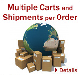 Multiple Carts and Shipments Per Order